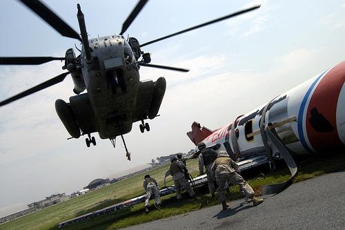 Super Stallion by Tidewater Muse