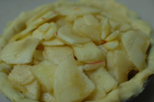 making apple pie: filling the pastry making apple pie: filling the pastry