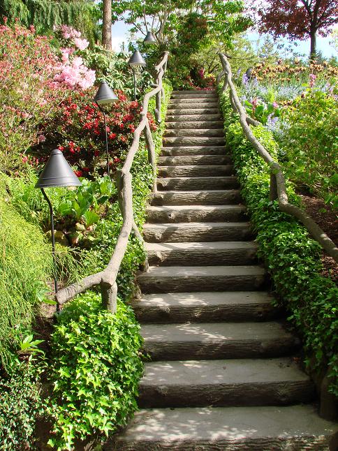 garden stairs by seansbizz garden stairs by seansbizz