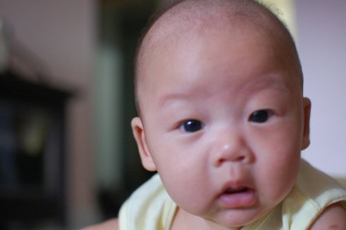 Daryl Chang Daryl Chang