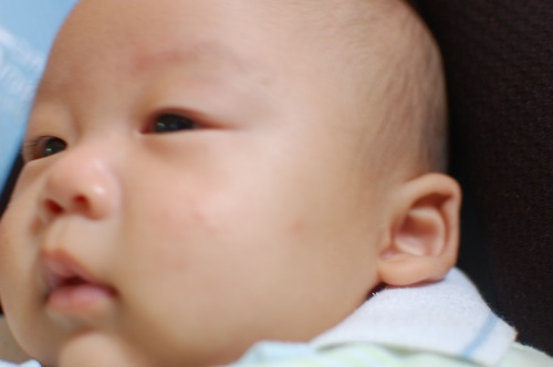 daryl chang september 2010