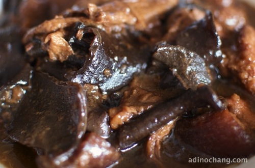 201108 caleb full moon 8